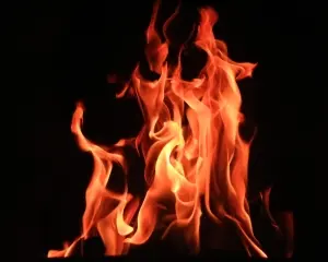 Fire Training